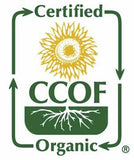 SFMart McCabe Organic Regular Rolled Oats (For Oatmeal), 2-Pound Grain & Rice- SFMart