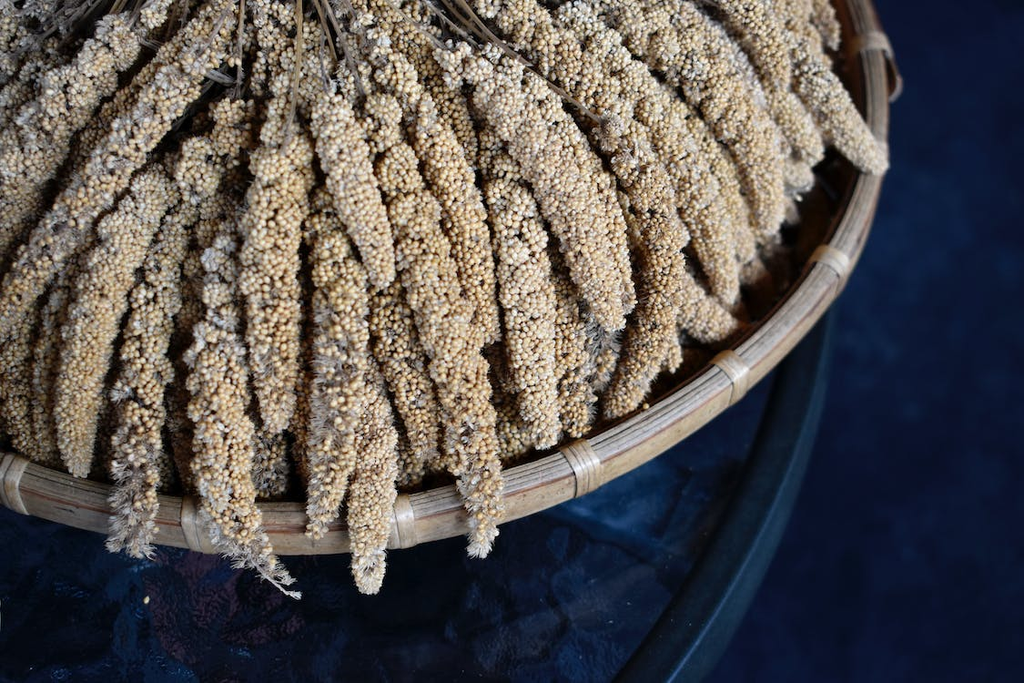 Hulled Millet vs. Glutinous Millet: What’s the Difference?