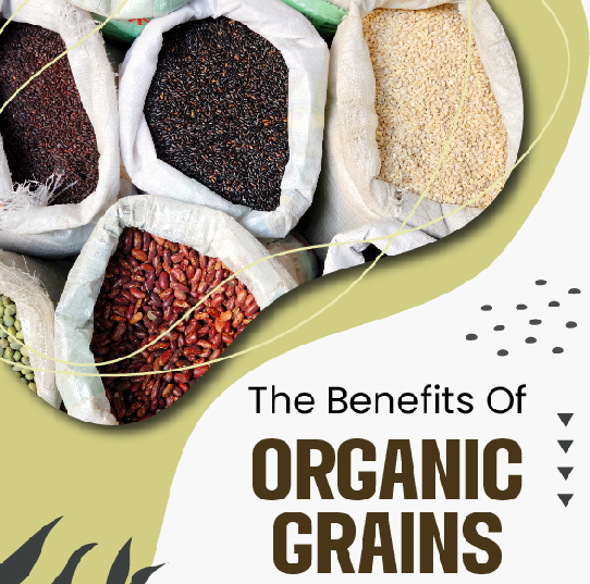 The Benefits Of Organic Grains: Why Choosing Organic Matters