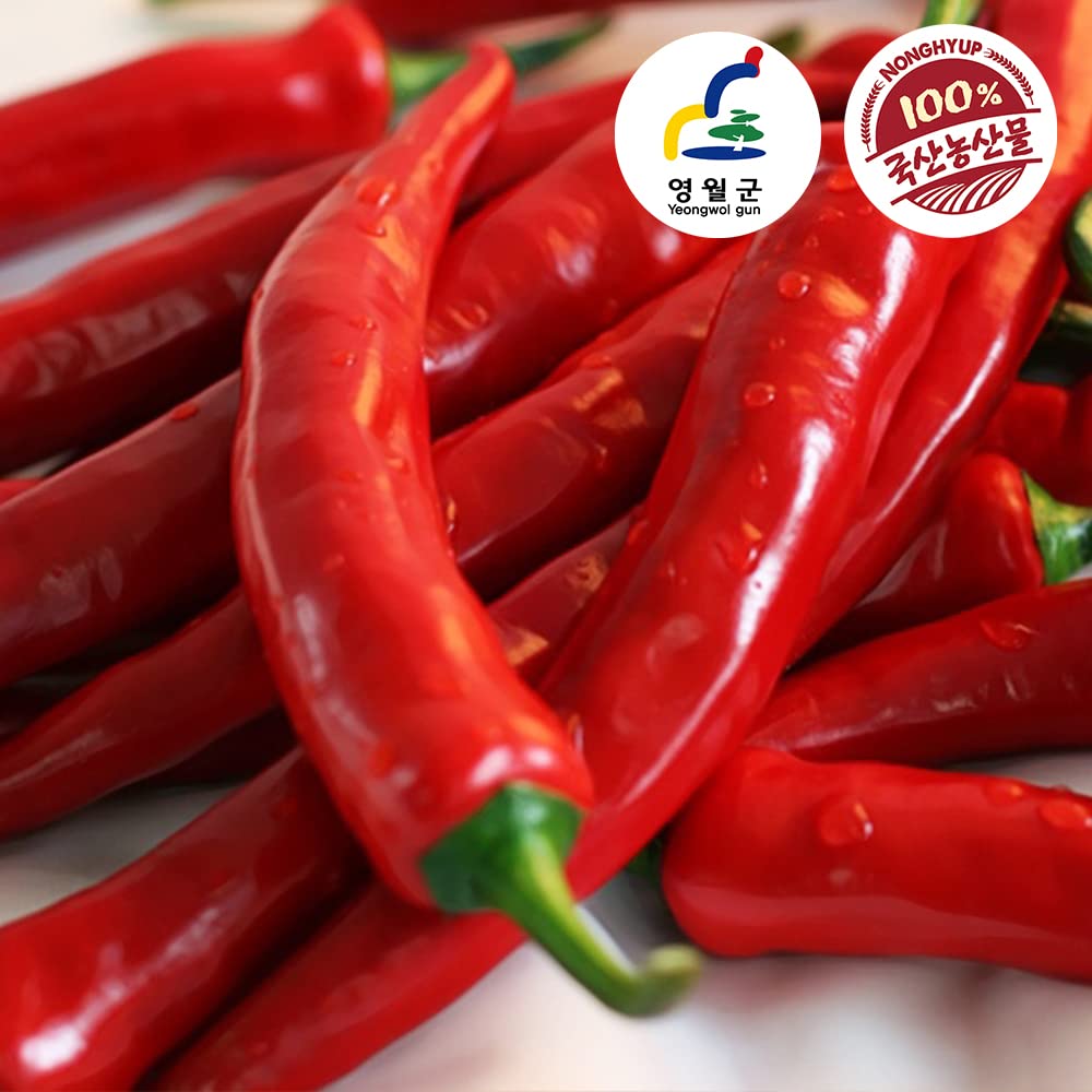 NH [Nonghyup] Korea Yeongwol Donggang Maru Red Chili Pepper Powder Medium Spicy 1Kg Spices- SFMart